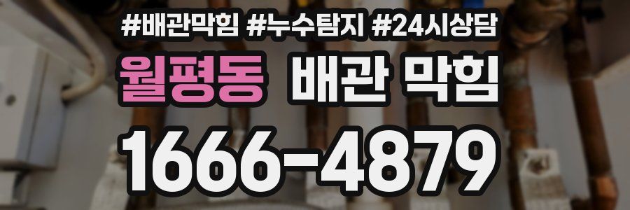 월평동 배관 막힘
