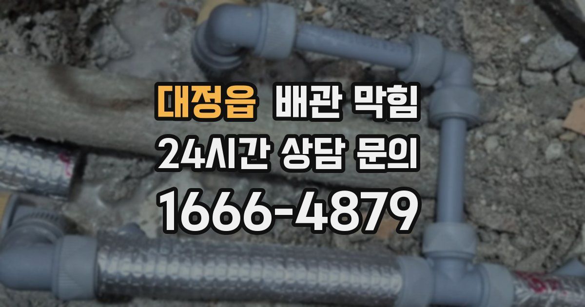대정읍 배관 막힘