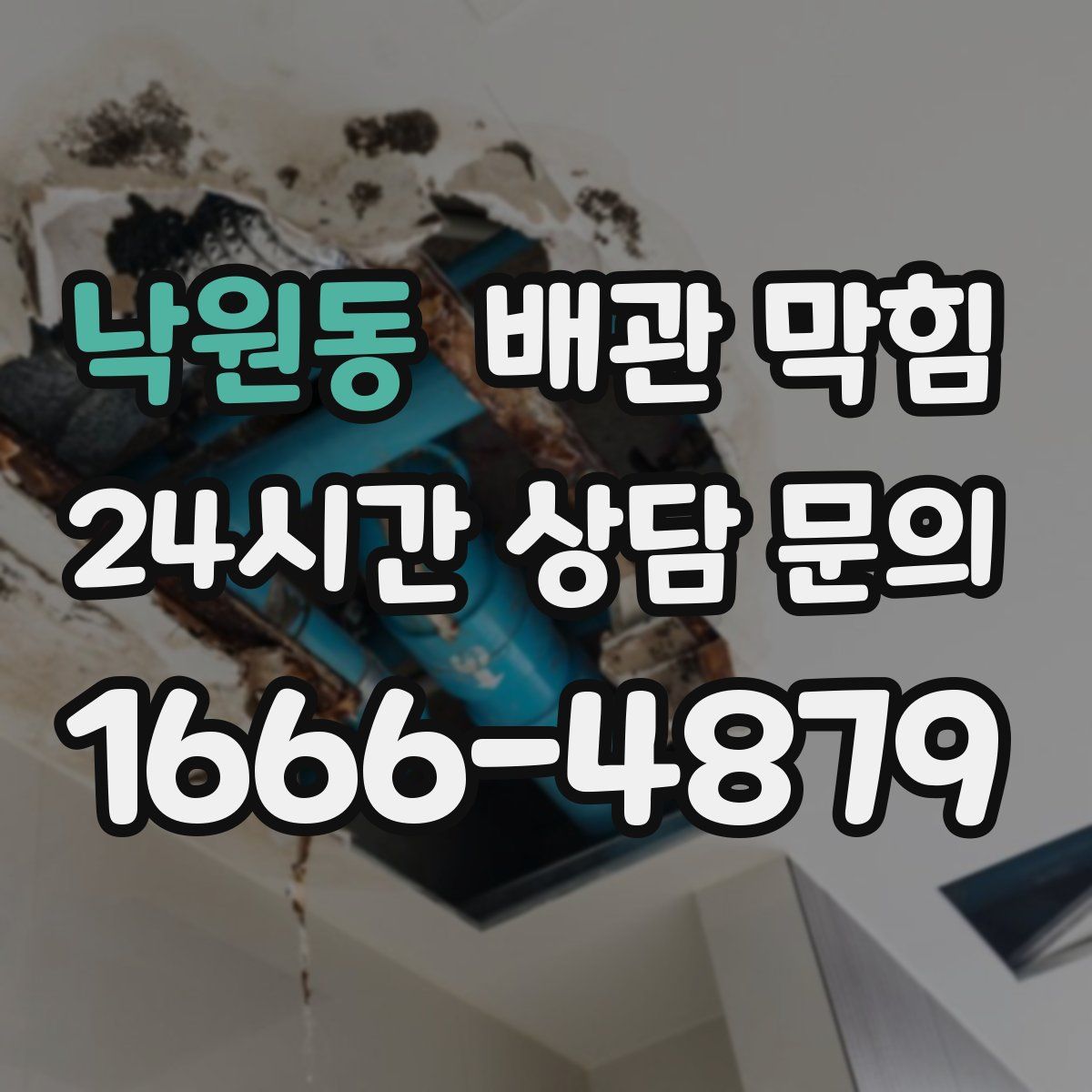 낙원동 배관 막힘