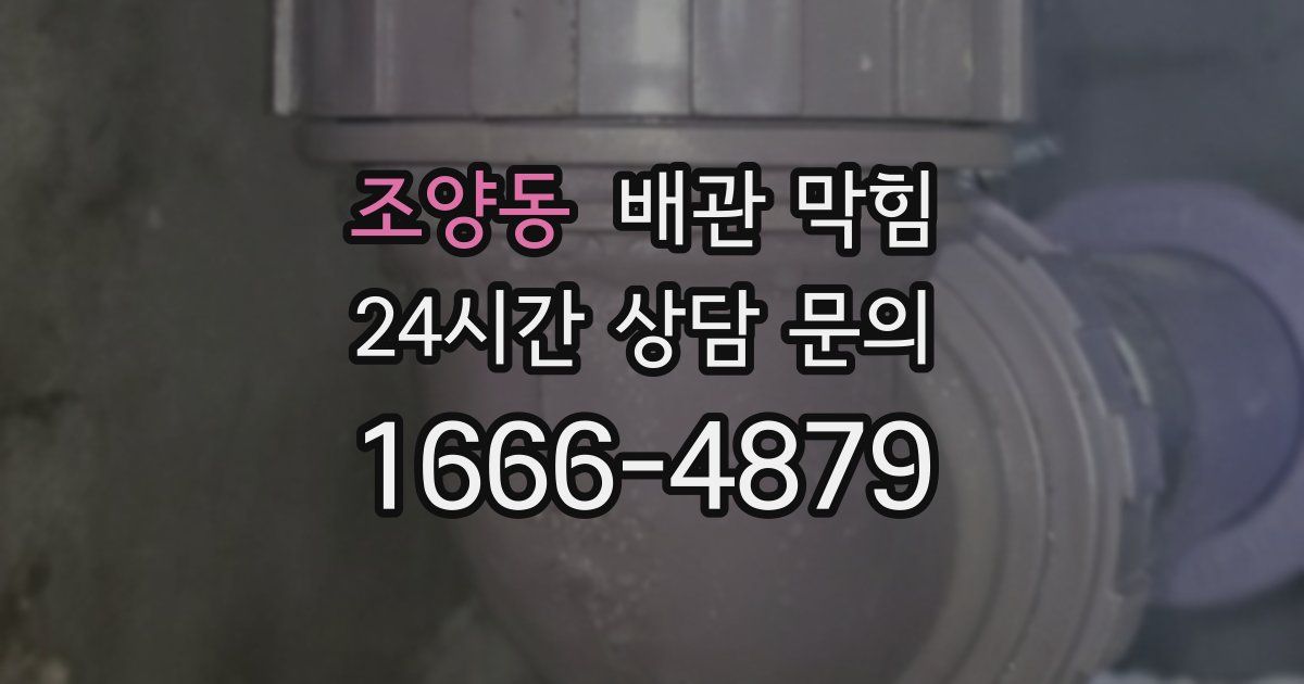조양동 배관 막힘