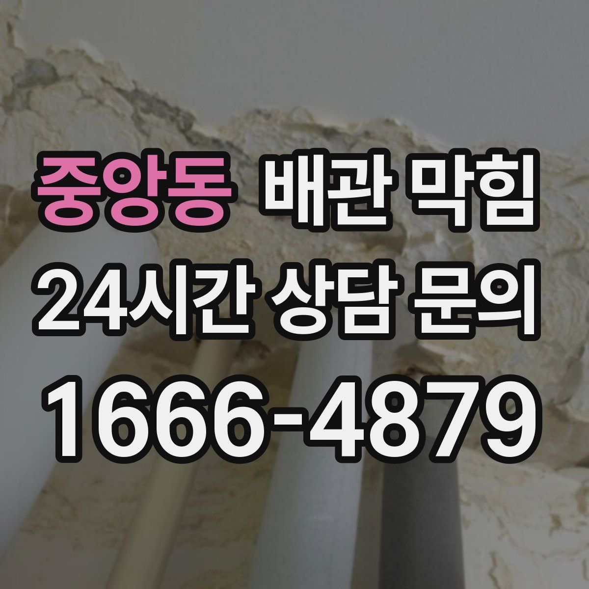 중앙동 배관 막힘