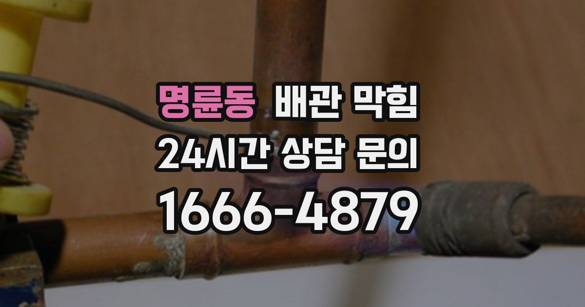 명륜동 배관 막힘