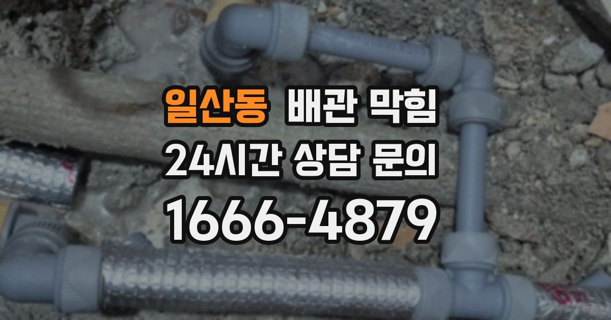 일산동 배관 막힘