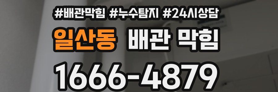일산동 배관 막힘