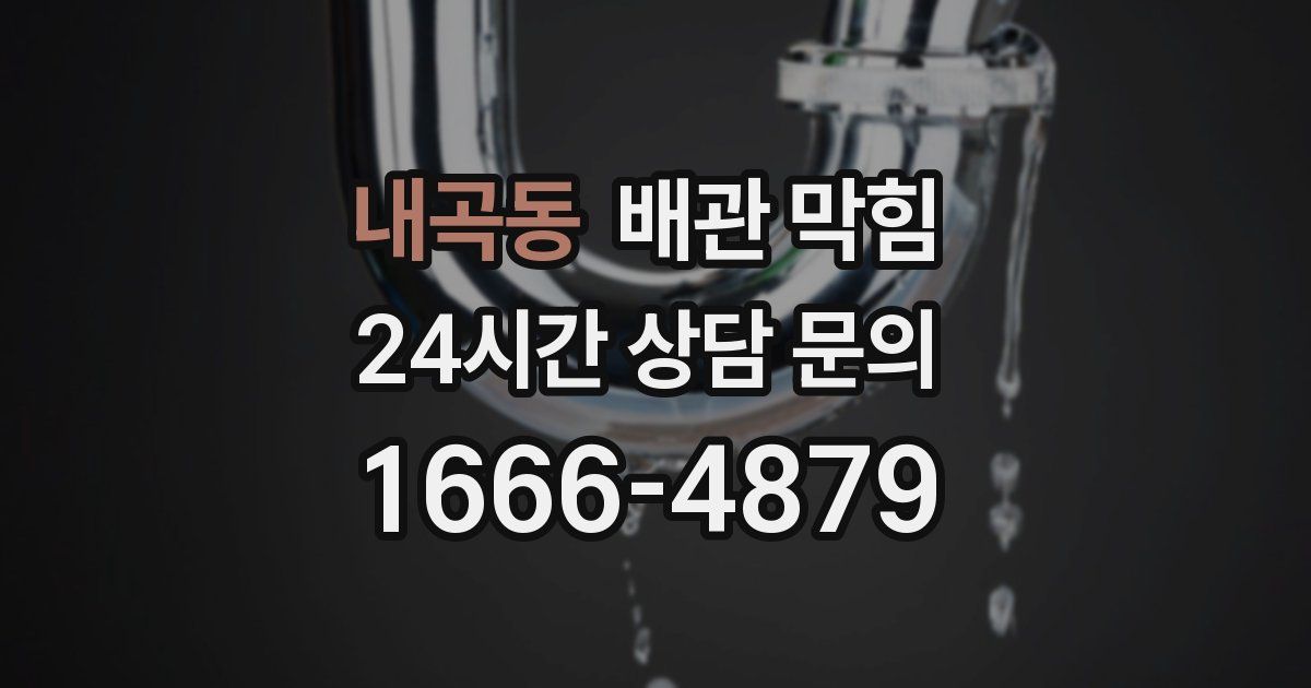 내곡동 배관 막힘