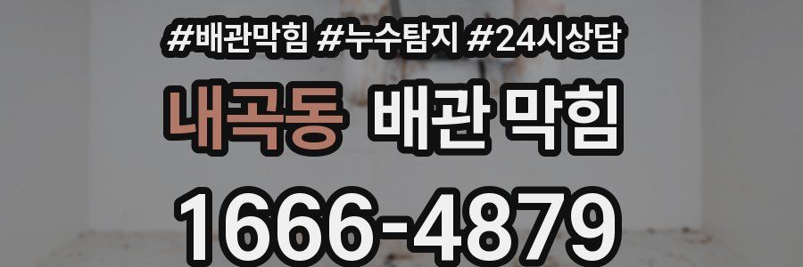 내곡동 배관 막힘
