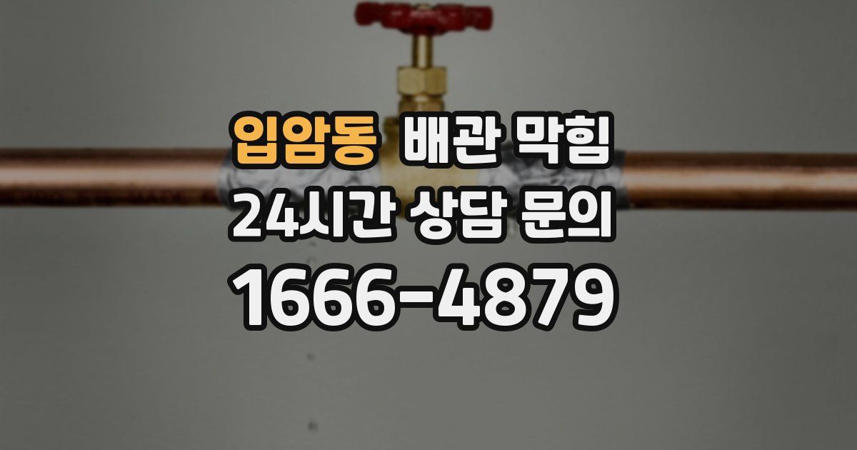 입암동 배관 막힘