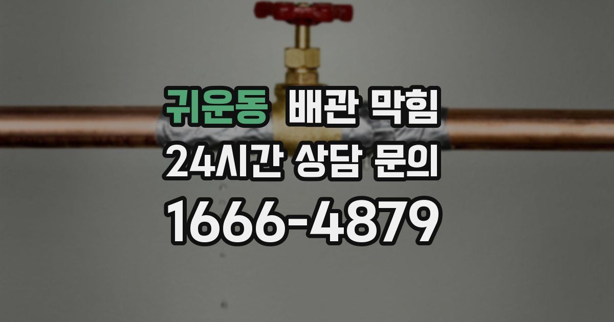 귀운동 배관 막힘