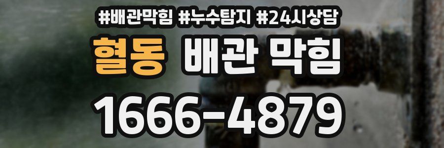 혈동 배관 막힘