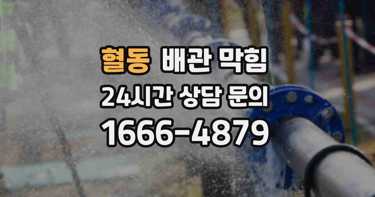 혈동 배관 막힘