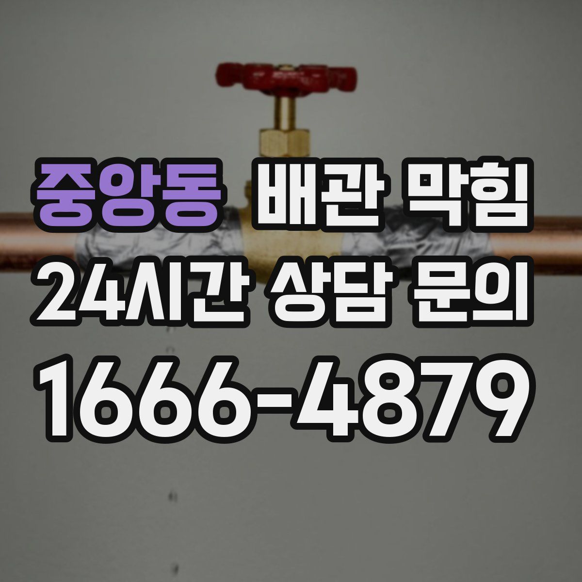 중앙동 배관 막힘