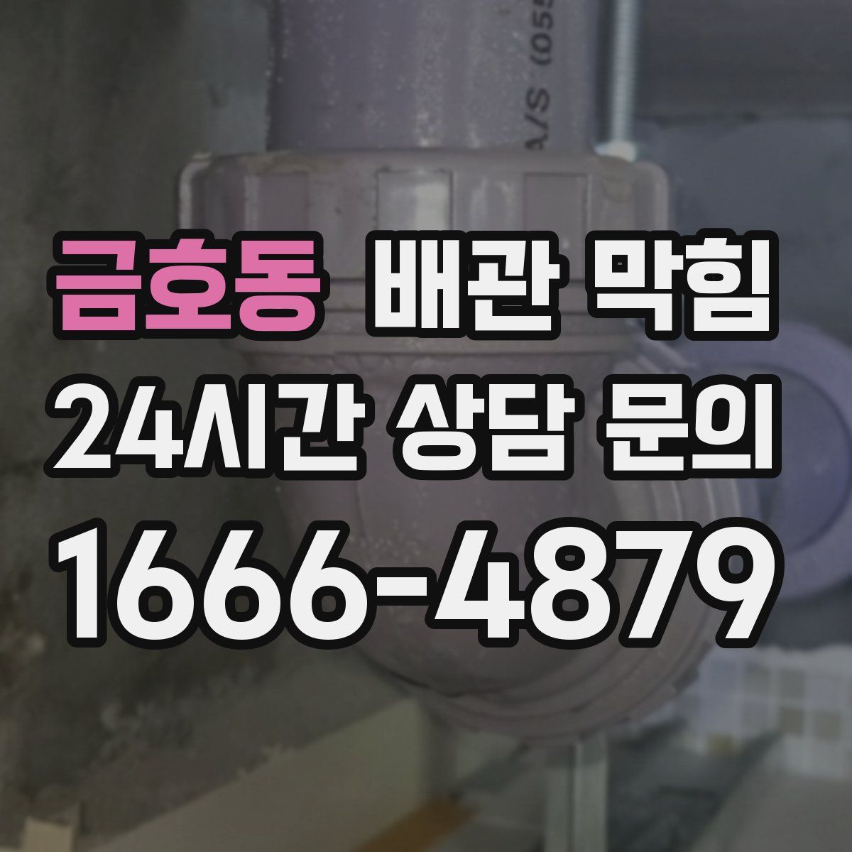 금호동 배관 막힘