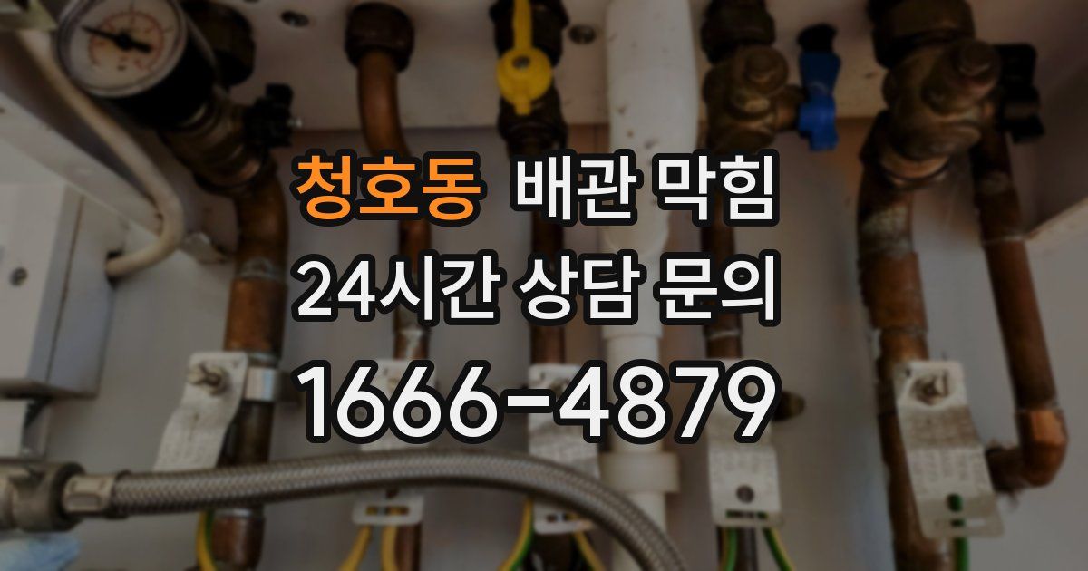 청호동 배관 막힘
