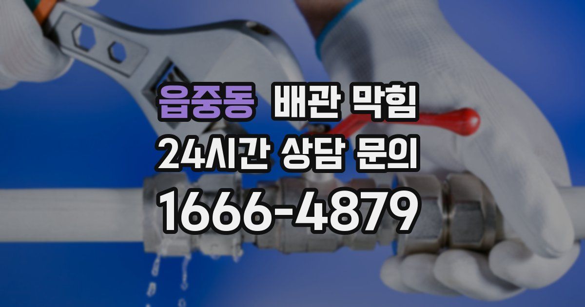 읍중동 배관 막힘