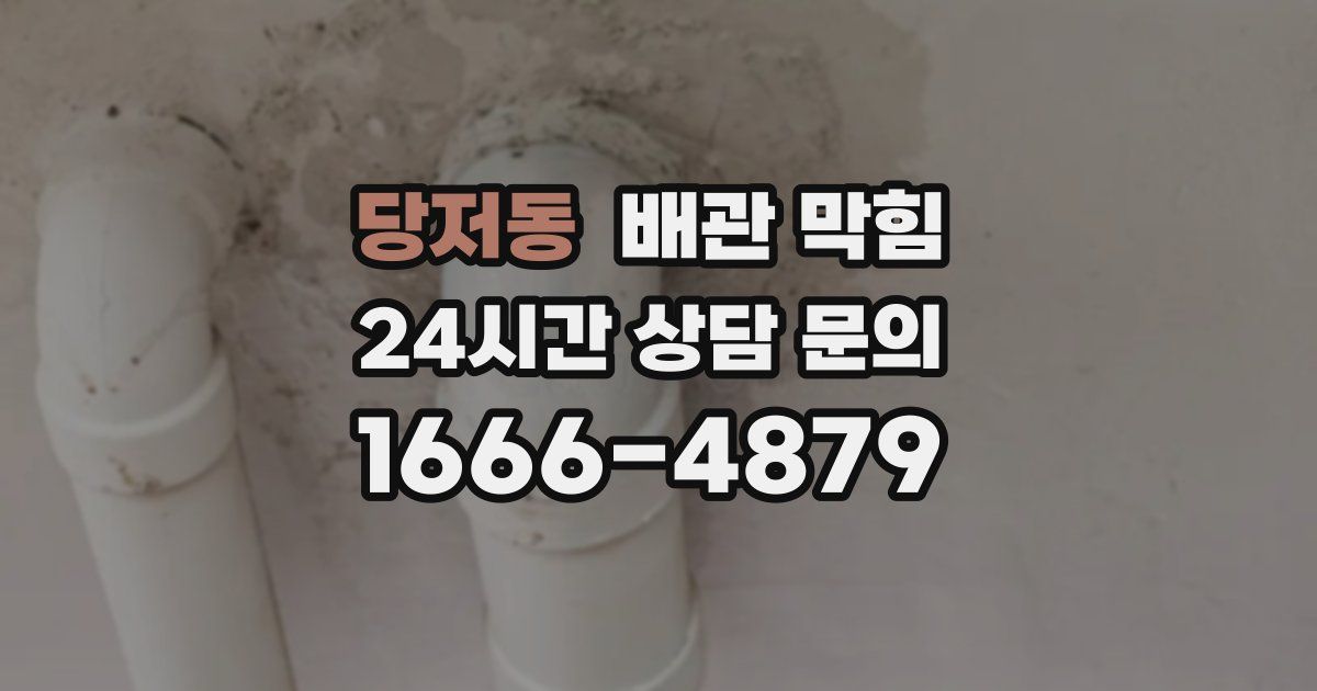 당저동 배관 막힘