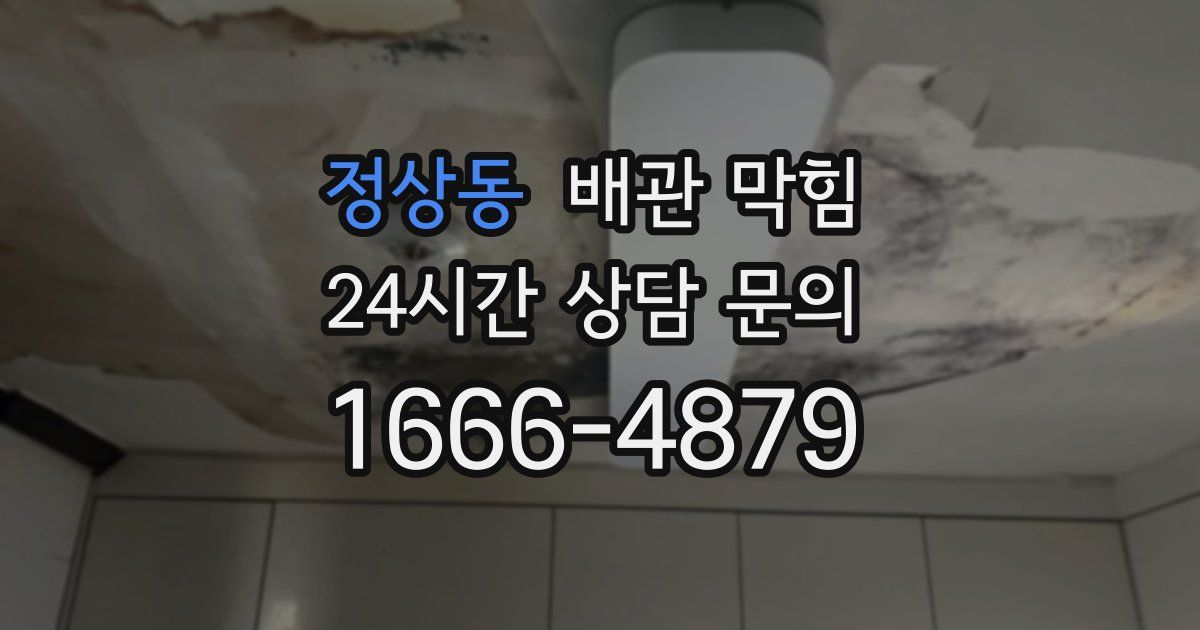 정상동 배관 막힘