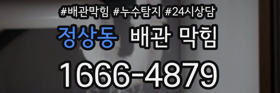 정상동 배관 막힘