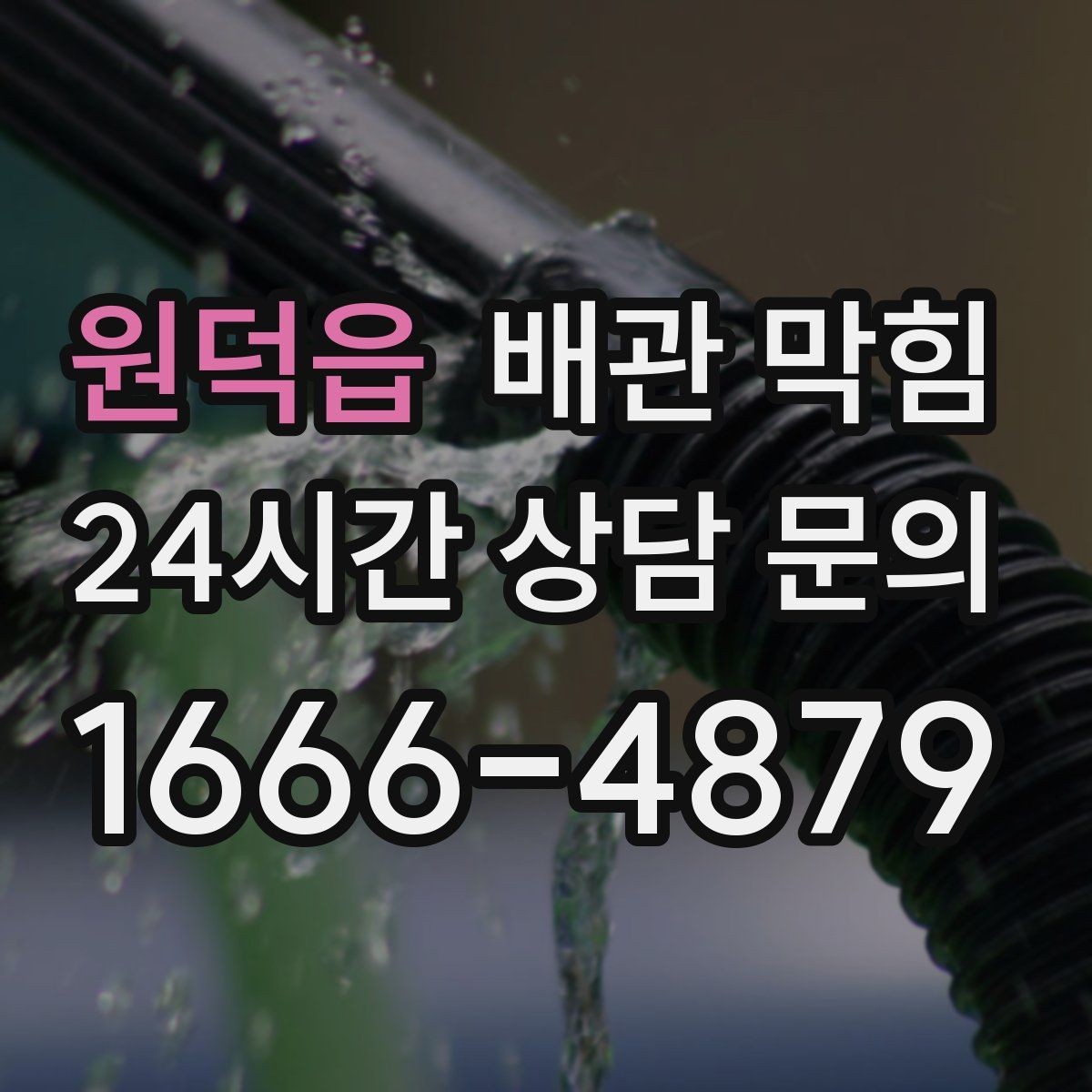 원덕읍 배관 막힘 바닥 배수구에서 물이 올라오면 위험 신호