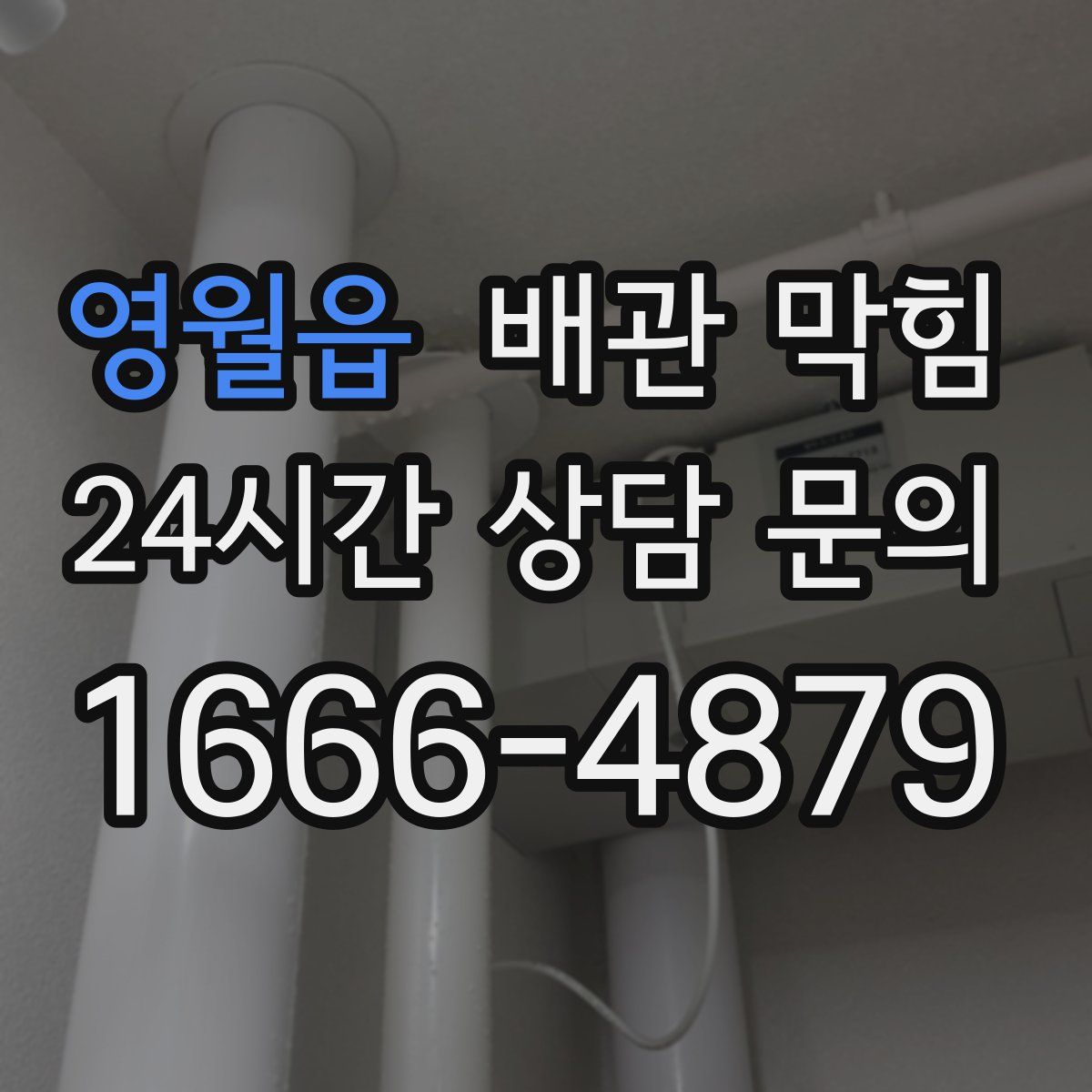 영월읍 배관 막힘