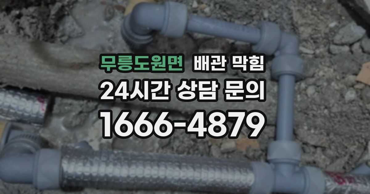무릉도원면 배관 막힘