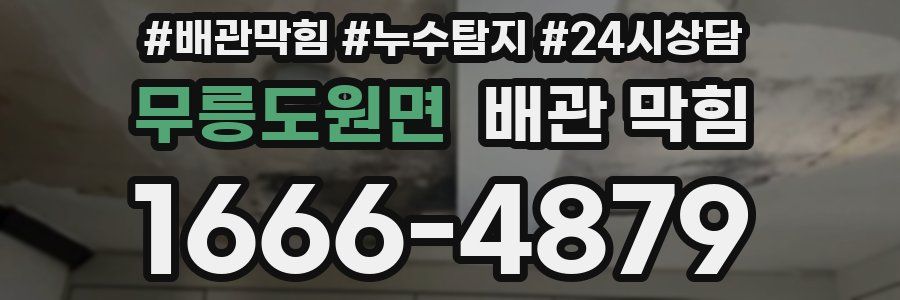 무릉도원면 배관 막힘