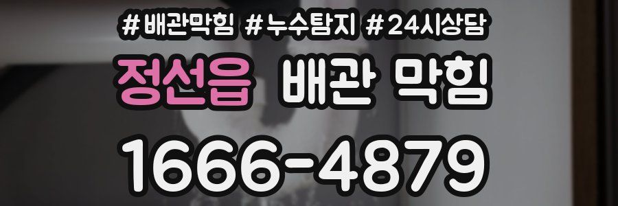 정선읍 배관 막힘