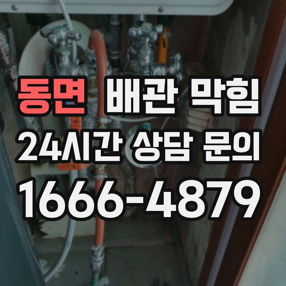 동면 배관 막힘 장마철에 역류가 심해지면 우수 하수 분리를 점검