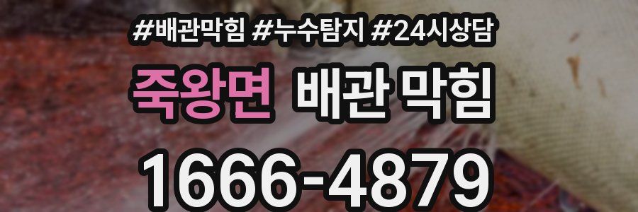 죽왕면 배관 막힘