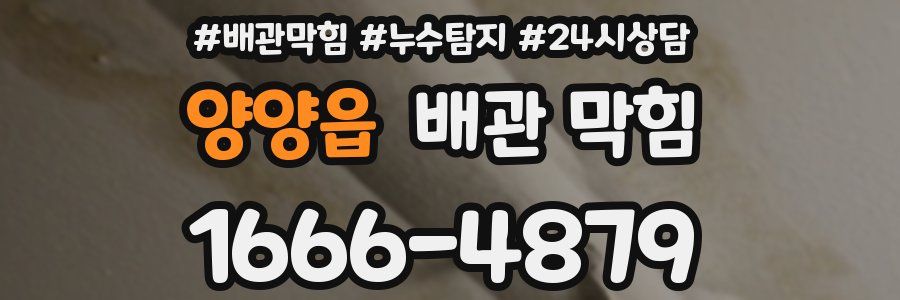 양양읍 배관 막힘