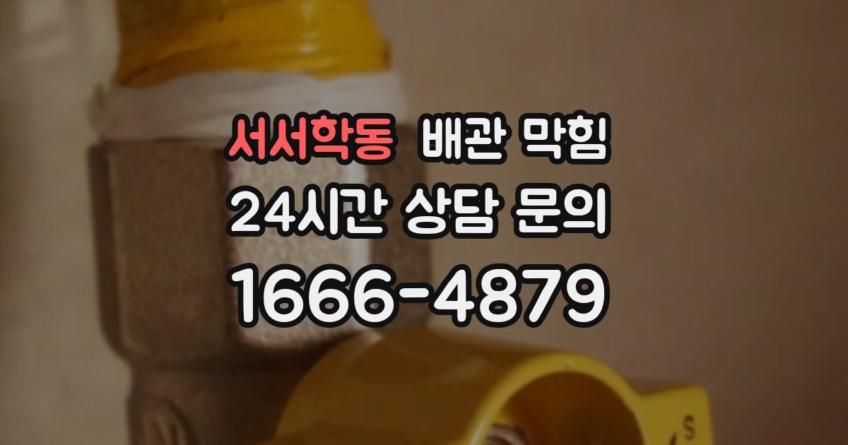 서서학동 배관 막힘