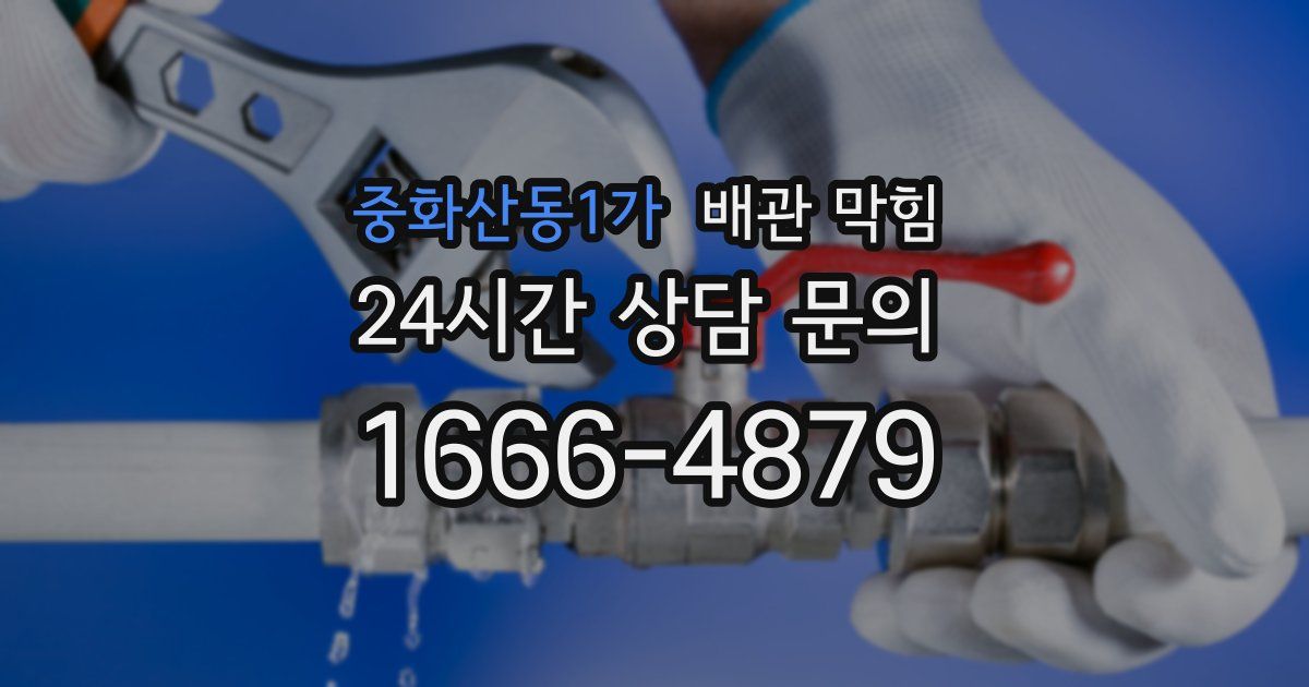 중화산동1가 배관 막힘