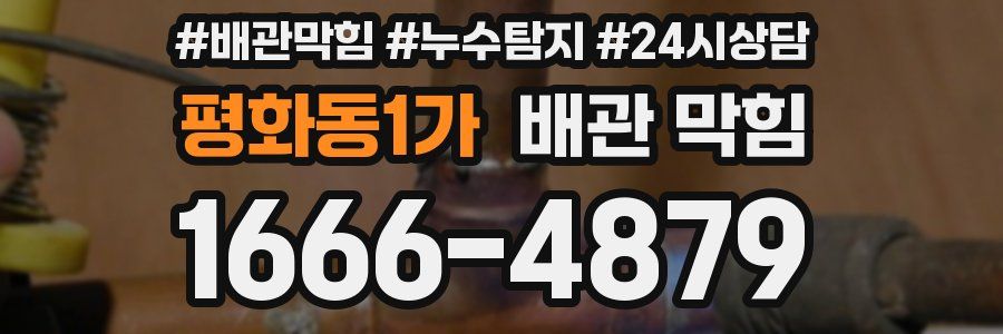 평화동1가 배관 막힘