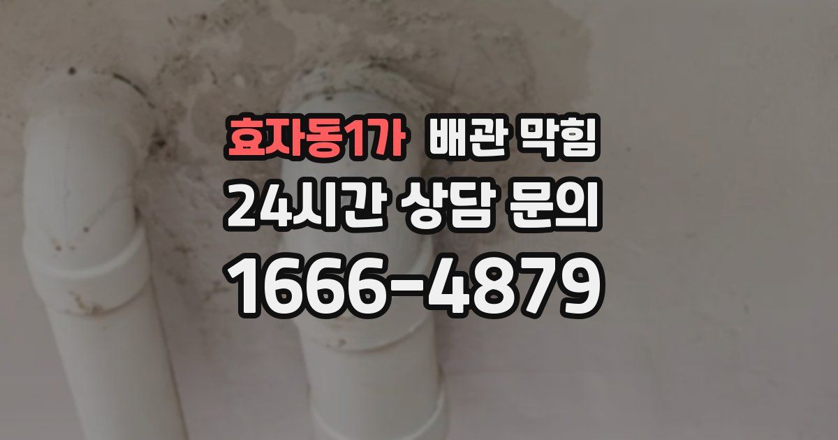 효자동1가 배관 막힘