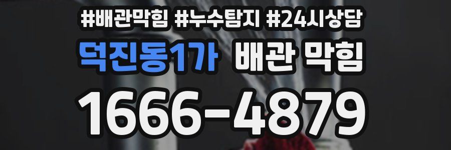 덕진동1가 배관 막힘