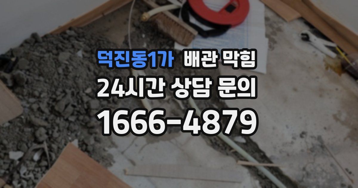 덕진동1가 배관 막힘