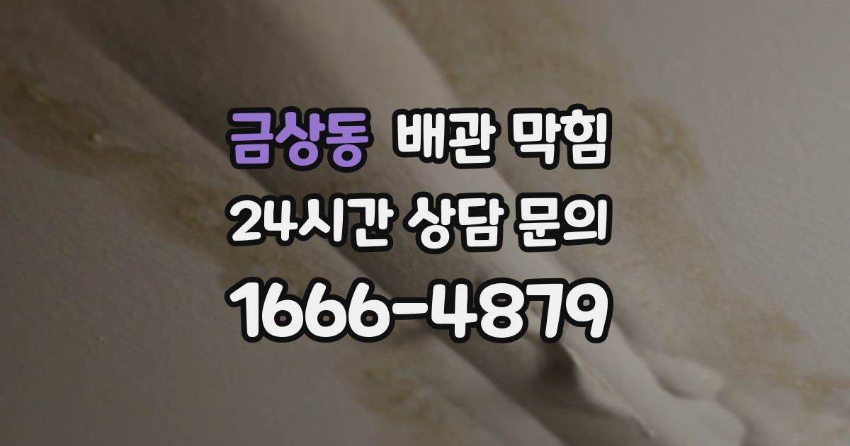 금상동 배관 막힘