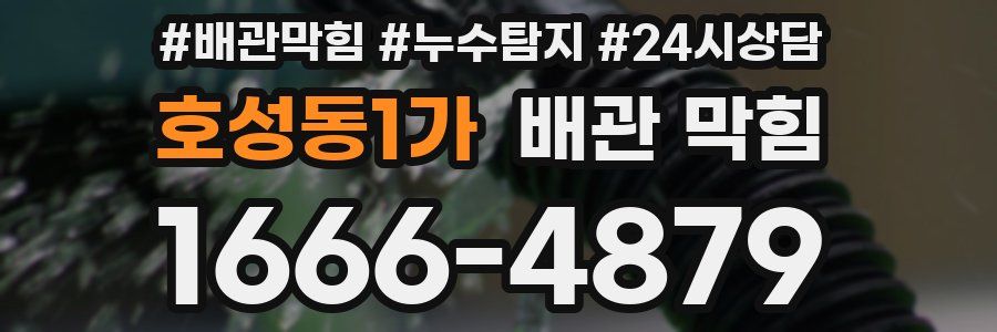 호성동1가 배관 막힘