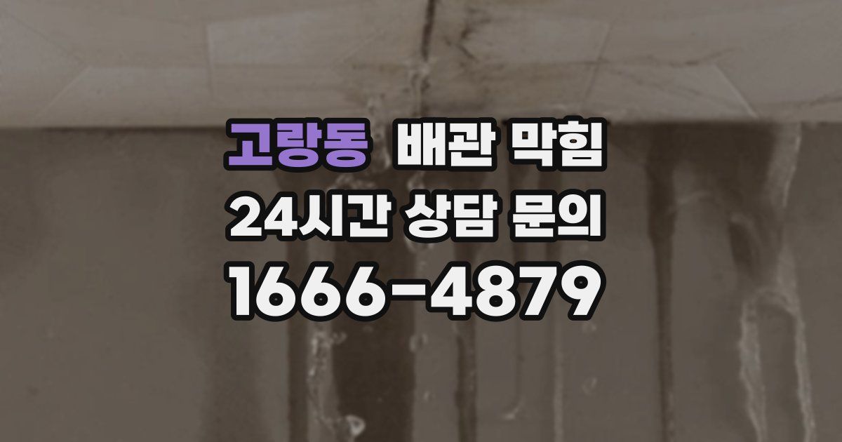 고랑동 배관 막힘