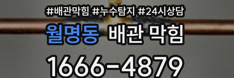 월명동 배관 막힘