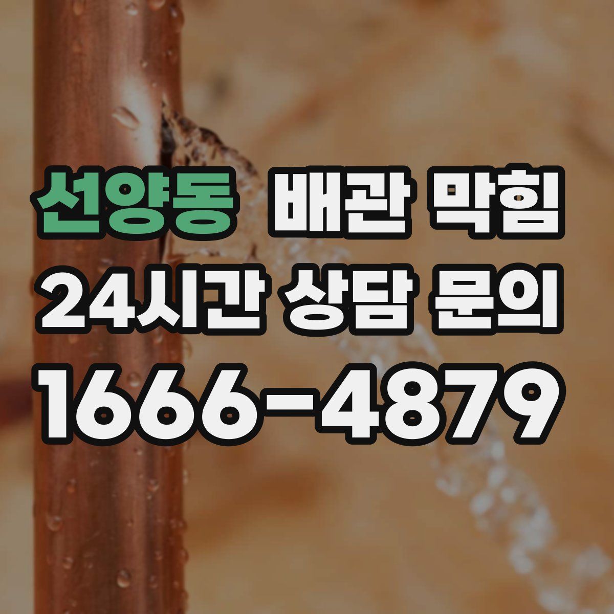 선양동 배관 막힘