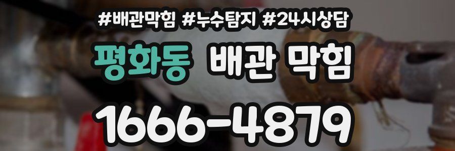 평화동 배관 막힘