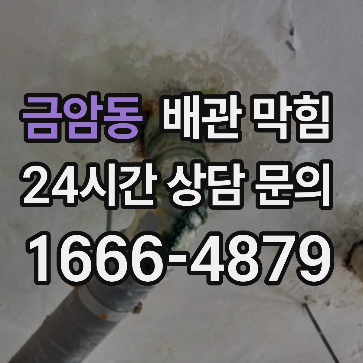 금암동 배관 막힘