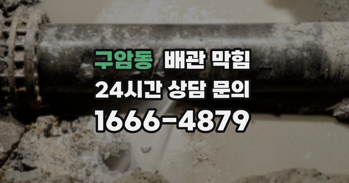 구암동 배관 막힘