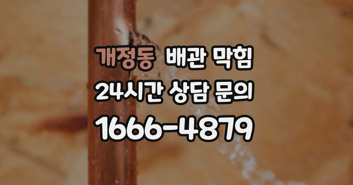 개정동 배관 막힘