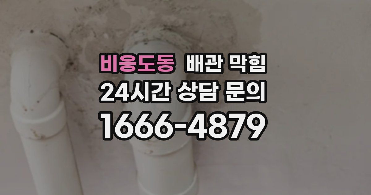 비응도동 배관 막힘