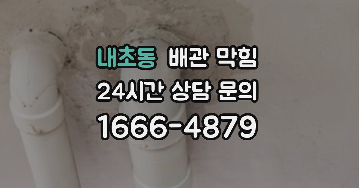 내초동 배관 막힘