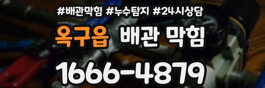 옥구읍 배관 막힘