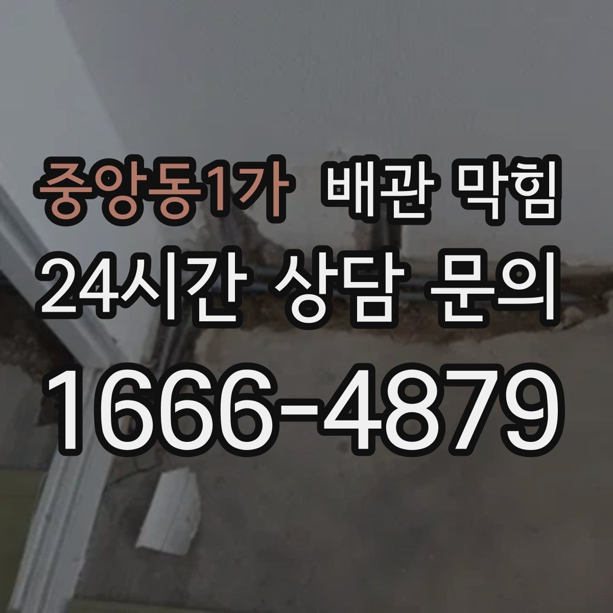 중앙동1가 배관 막힘 배수구에서 검은 찌꺼기가 올라오면