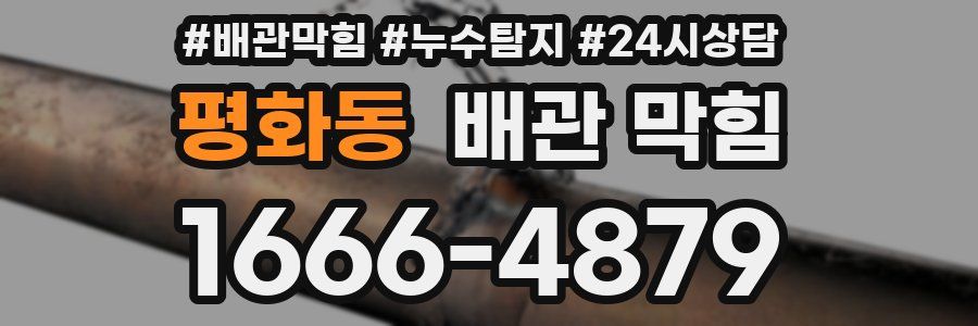 평화동 배관 막힘