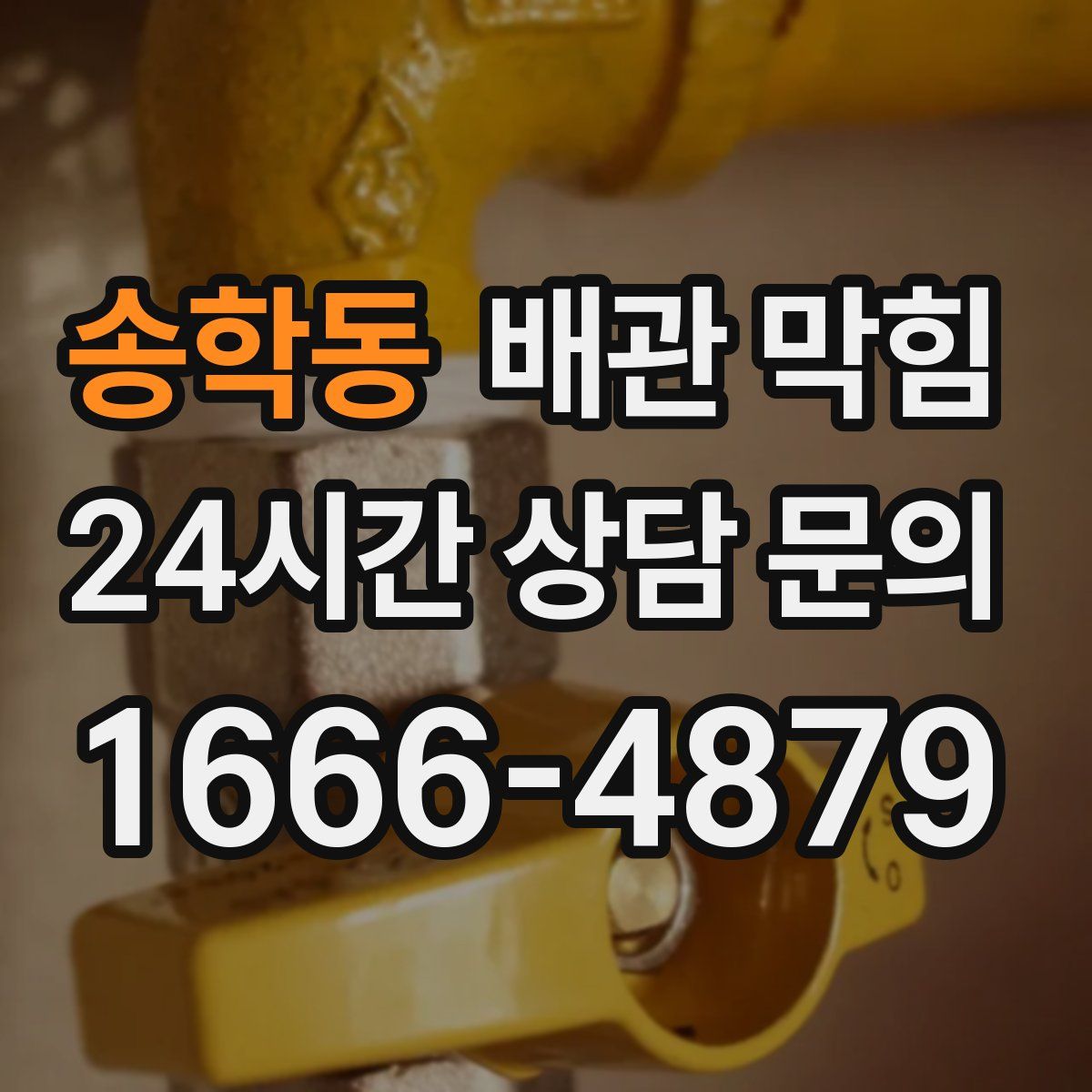 송학동 배관 막힘